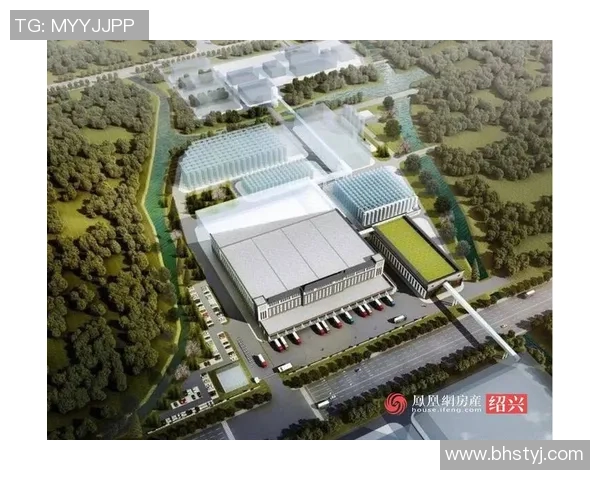 FCMz足球：探索新兴球队的崛起与未来发展潜力分析